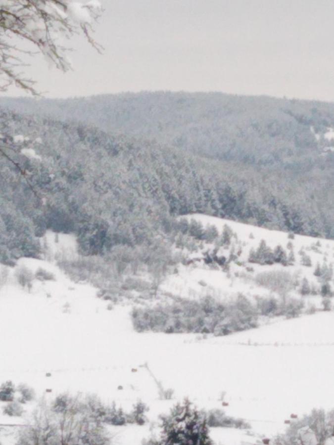 Kuca Despot Lägenhet Kremna Exteriör bild