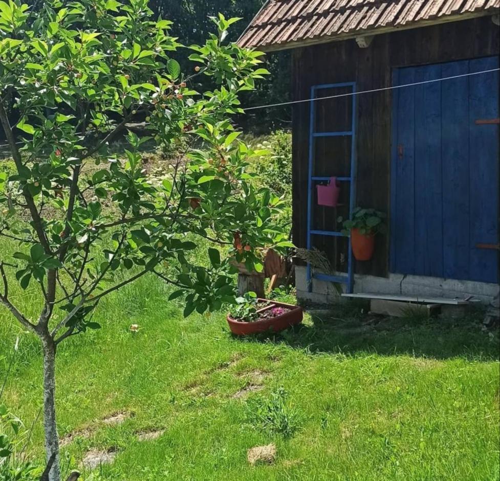 Kuca Despot Lägenhet Kremna Exteriör bild